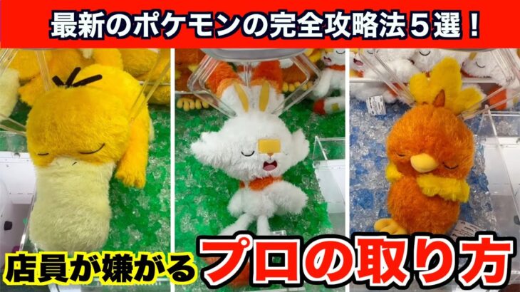 【クレーンゲーム】プロが教える！ポケモン最新作を確率無視で攻略するコツ５選！