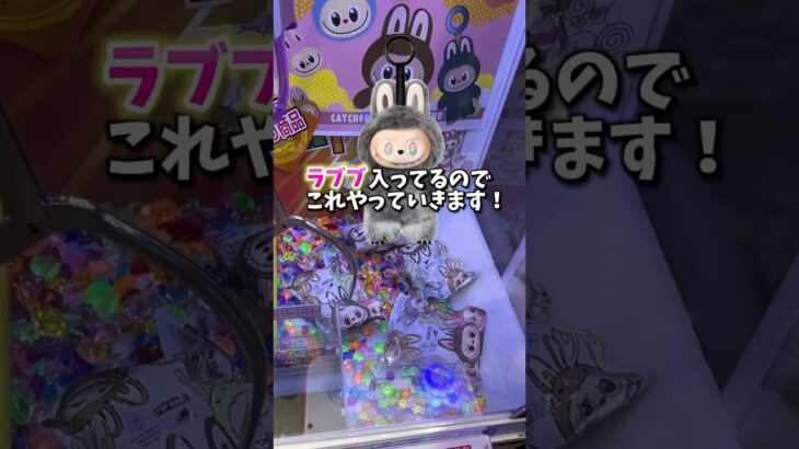 【ゲーセン】ラブブがイオンのクレーンゲームに入ってたので取れるまで挑戦してみました。