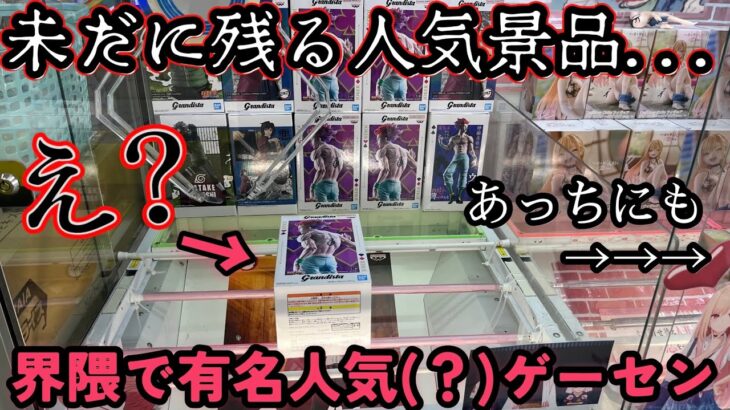 未だに残る人気景品がたくさんあるお店に逝ってみた結果【クレーンゲーム】