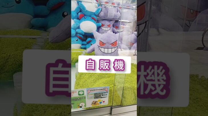 クレーンゲーム😁とれる？😱とれない？
