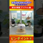 デイチャレ成功集_ver2【セガUFOキャッチャーオンライン】