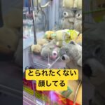 カピバラかカワウソか分からんw#クレーンゲーム#ufoキャッチャー#game#gameplay#ゲーセン#ゲーム#ゲームセンター#カワウソ#ぬいぐるみ#景品#youtubeshorts