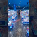 小さい景品だけを狙えば大量ゲット出来るはずww #shorts #クレーンゲーム #ufoキャッチャー #ゲーセン #clawmachine #arcade