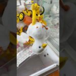 ぬいぐるみが取れすぎて笑えるww#shorts #クレーンゲーム #ufoキャッチャー #ゲーセン #clawmachine #arcade #funny #tiktok