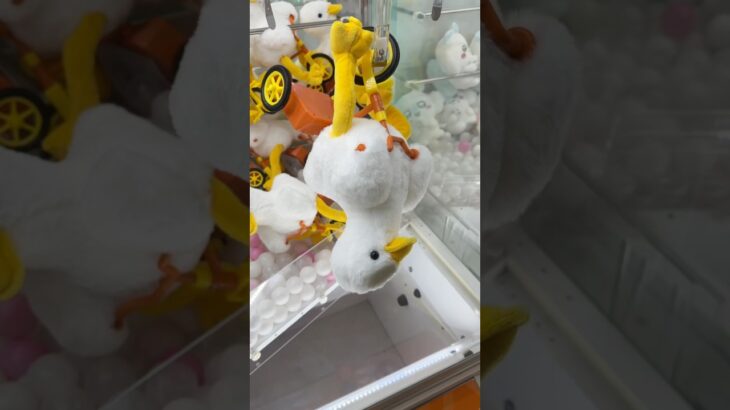 ぬいぐるみが取れすぎて笑えるww#shorts #クレーンゲーム #ufoキャッチャー #ゲーセン #clawmachine #arcade #funny #tiktok