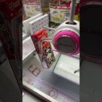 取れすぎてやばいゲーセン見つけたww#shorts #クレーンゲーム #ufoキャッチャー #ゲーセン #clawmachine #arcade #funny #tiktok