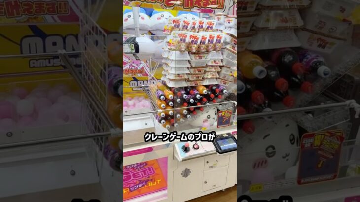 日本一気合いの入ったゲーセンwww #shorts  #クレーンゲーム #ufoキャッチャー#ゲーセン #ゲームセンター  #arcade #clawmachine