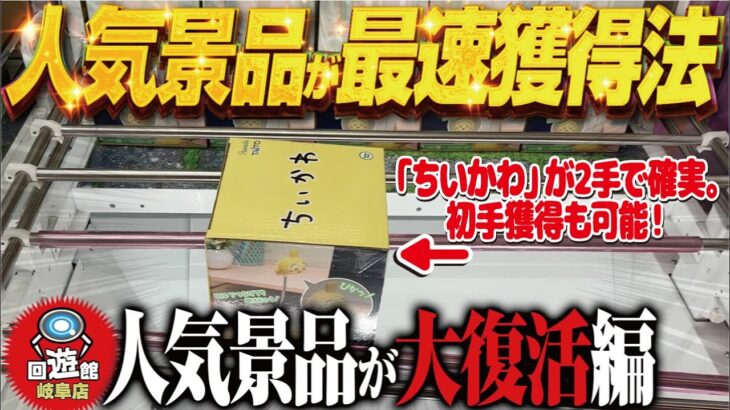 【クレーンゲーム】見つけました！ちいかわライト攻略！最短1手！回遊館岐阜店！