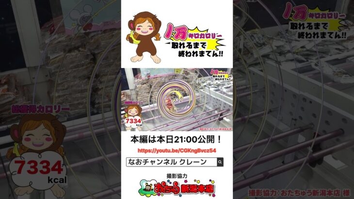 【クレーンゲーム】1万キロカロリー取れるまで終われまてん‼︎【予告編】🔥🍫🍜 #クレーンゲーム #UFOキャッチャー #ゲームセンター #おたちゅう #攻略方法 #帰れまてん