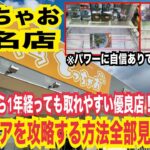 【クレーンゲーム とっちゃお桑名店】オープンから1年経っても爆取れ優良店!フィギュアの攻略法全部見せます!#クレーンゲーム #ufoキャッチャー #橋渡し 橋渡し