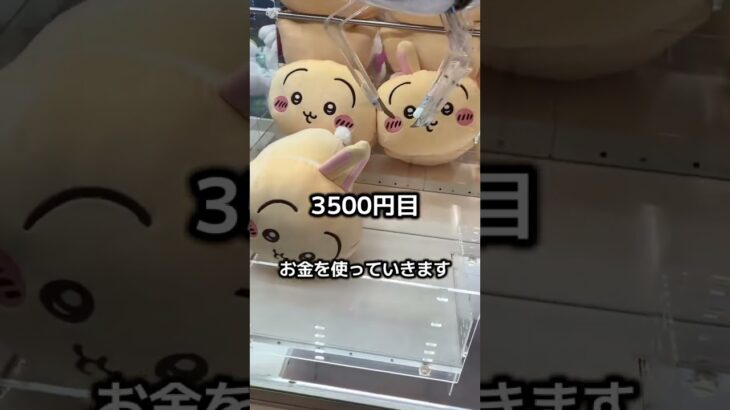 千人1人しか知らないちいかわが取れるタイミングがわかる裏ワザ#クレーンゲーム #ufoキャッチャー #clawmachine #ちいかわ #ちいかわうさぎ