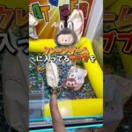 【ゲーセン】ラブブを10個取って視聴者さんにプレゼントしてみた。