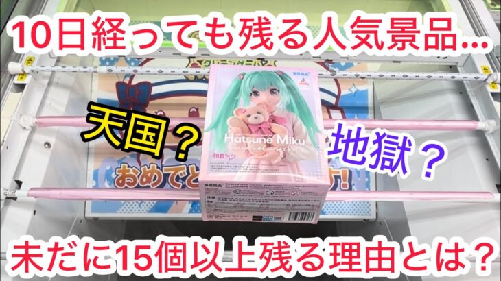 【クレーンゲーム】まさかの10日越しの初見攻略。 #クレーンゲーム #クレゲ #ufoキャッチャー #ゲームセンター #ゲーセン #橋渡し