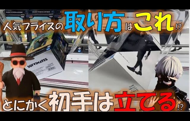 【クレーンゲーム】100　回遊館長浜店　めざせ手順化！初手はまず立てるところから始まる件