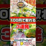 100円で取れる! #shorts #クレーンゲーム #クレーンゲーム攻略 #ゲームセンター #ufoキャッチャー