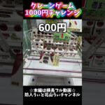 クレーンゲーム1000円チャレンジ#クレーンゲーム #クレーンゲーム攻略 #ufoキャッチャー #ゲームセンター #ゲーセン