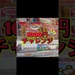 【フック設定】1000円チャレンジ‼️何個取れるか❓ピクミンを集めてみる#おたちゅう #龍ヶ崎 #クレーンゲーム #ufoキャッチャー #攻略#フック#フィギュア#雑貨#食品#日用品