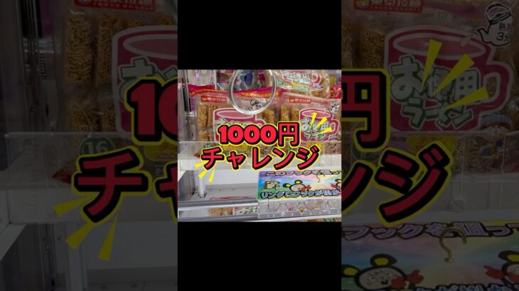 【フック設定】1000円チャレンジ‼️何個取れるか❓ピクミンを集めてみる#おたちゅう #龍ヶ崎 #クレーンゲーム #ufoキャッチャー #攻略#フック#フィギュア#雑貨#食品#日用品