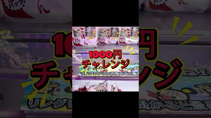 【フック設定】1000円チャレンジ‼️何個取れるか❓ピクミンを集めてみる#おたちゅう #龍ヶ崎 #クレーンゲーム #ufoキャッチャー #攻略#フック#フィギュア#雑貨#食品#日用品
