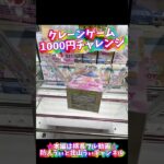 クレーンゲーム1000円チャレンジ#クレーンゲーム #クレーンゲーム攻略 #ufoキャッチャー #ゲームセンター #ゲーセン #初音ミク