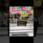 クレーンゲーム1000円チャレンジ#クレーンゲーム #クレーンゲーム攻略 #ufoキャッチャー #ゲームセンター #ゲーセン #ワンピース