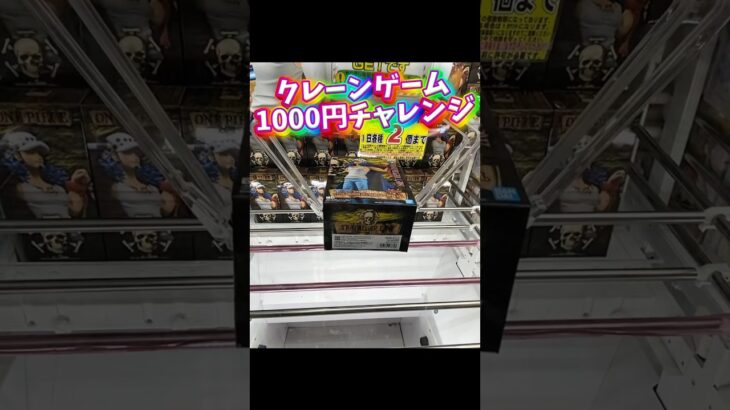 クレーンゲーム1000円チャレンジ#クレーンゲーム #クレーンゲーム攻略 #ufoキャッチャー #ゲームセンター #ゲーセン #ワンピース