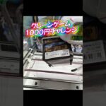 クレーンゲーム1000円チャレンジ#クレーンゲーム #クレーンゲーム攻略 #ufoキャッチャー #ゲームセンター #ゲーセン #ワンピース
