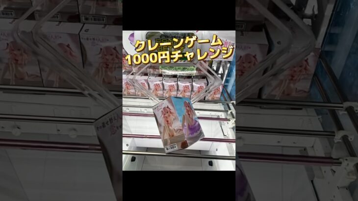 クレーンゲーム1000円チャレンジ#クレーンゲーム #クレーンゲーム攻略 #ufoキャッチャー #ゲームセンター #ゲーセン