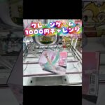 クレーンゲーム1000円チャレンジ#クレーンゲーム #クレーンゲーム攻略 #ufoキャッチャー #ゲームセンター #ゲーセン #初音ミク #呪術廻戦