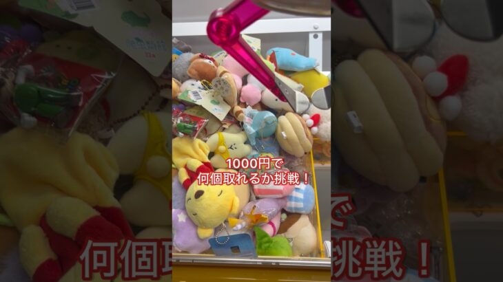 1000円で何個取れるか挑戦！ #クレーンゲーム  #ゲーセン  #ufoキャッチャー  #景品　#1000円