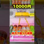 世界一獲れるゲーセンで10000円チャレンジした結果 #shorts #クレーンゲーム #ufoキャッチャー #cranegame