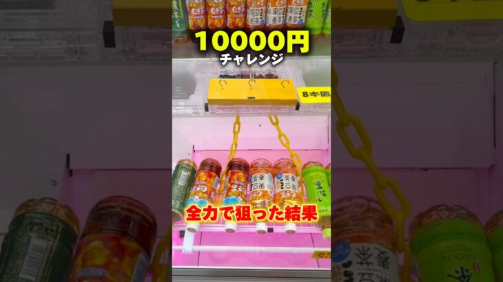 世界一獲れるゲーセンで10000円チャレンジした結果 #shorts #クレーンゲーム #ufoキャッチャー #cranegame