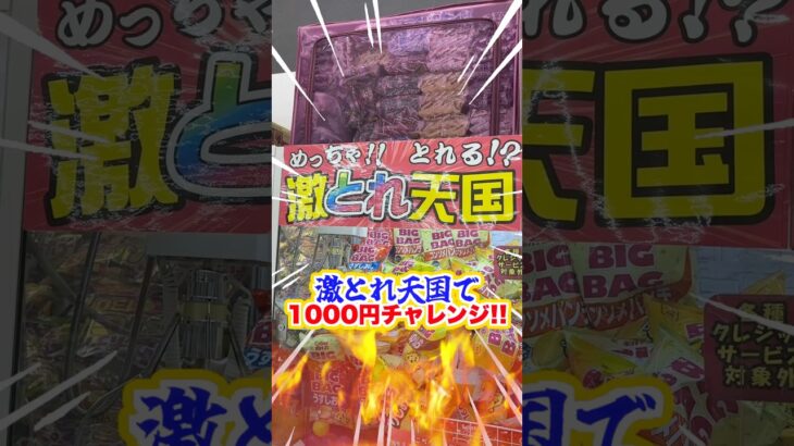 激とれできる台に1000円突っ込んだら何個景品ゲットできるのか！？ww