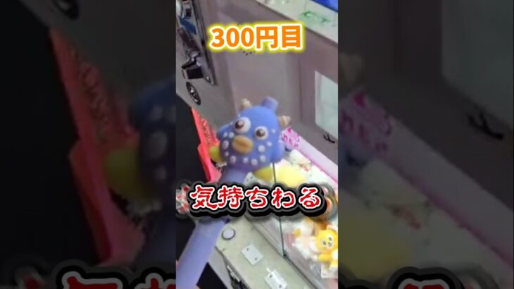 【1万いいね💸】ママから1,000円で5個以上取れるかチャレンジやってみた！ #クレーンゲーム  #UFOキャッチャー #ゲームセンター