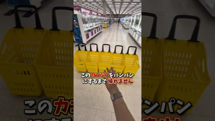 【ゲーセン】群馬県に11月オープンするゲームセンターでカゴ5つパンパンにするまで帰れませんやってみました。