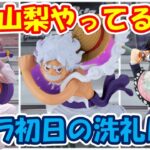 【クレーンゲーム】【倉庫系】#万代山梨 で新プラ全部にやられる…まじ無理… #胡蝶しのぶ #鬼滅の刃 #シャンプー   #らんま1/2 #ルフィー  #ニカ #ギア5 #ワンピース