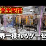 【クレーンゲーム】世界で1番獲れる場所へ!全てが規格外のお店で暴れます!【回遊館養父店・UFOキャッチャー】