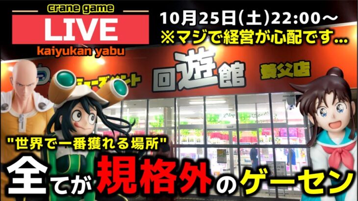【クレーンゲーム】世界で1番獲れる場所へ!全てが規格外のお店で暴れます!【回遊館養父店・UFOキャッチャー】