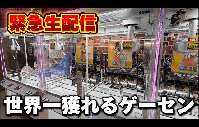 【クレーンゲーム】世界で1番獲れる場所へ！全てが規格外のお店で暴れます！【回遊館養父店・UFOキャッチャー】