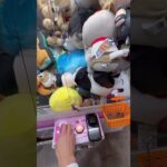 1分間でどれだけの景品をゲット出来るか挑戦してみた結果#ネタ#クレーンゲーム#ufoキャッチャー#ゲーセン#自宅