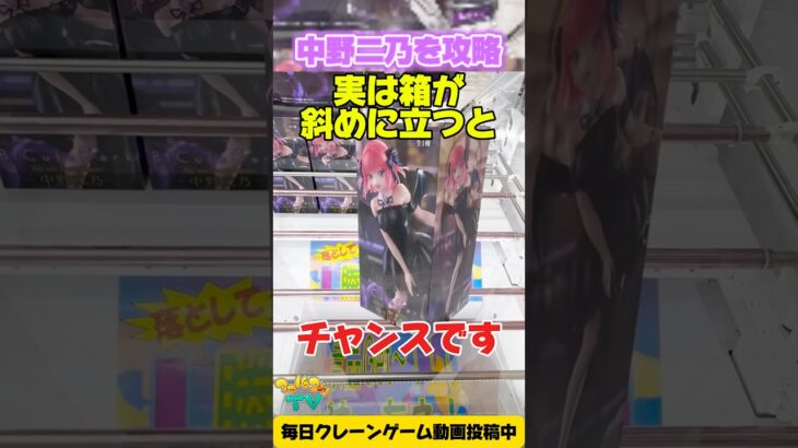 【クレーンゲーム】実は箱が斜めに立つと超チャンス！中野二乃2手攻略！🎮 Claw Machine: Nino Nakano 2-Move Trick!