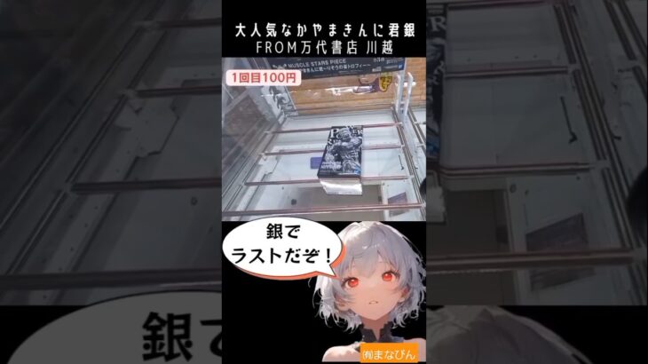 【立ち絵&音声付】新景品なかやまきんに君トロフィー2‼️😎 #ufoキャッチャー #クレーンゲーム #万代書店 #川越店