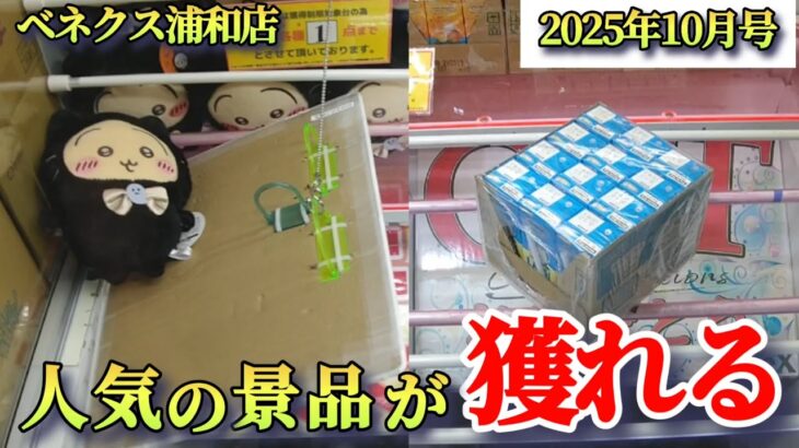 【月刊ベネクス浦和店】クレーンゲーム日本一獲れるお店にある人気の景品の取るコツを紹介 #2025年10月