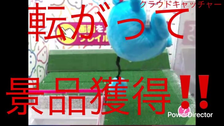 オンラインクレーンゲーム2025年8月号