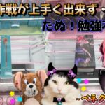 【勉強216日目】10月新景品スタート編★横振り作戦狙うが難しい！今回のおまけは○○パンです★～ベネクス川越店～