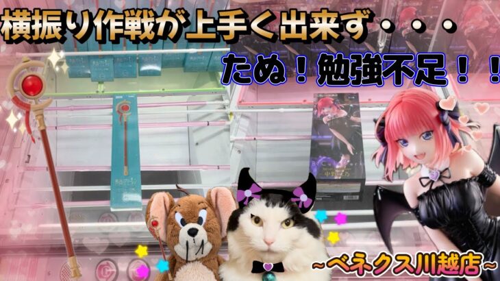 【勉強216日目】10月新景品スタート編★横振り作戦狙うが難しい！今回のおまけは○○パンです★～ベネクス川越店～