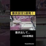 【クレーンゲーム】優良設定2連発w#cgs岩槻 #クレーンゲーム