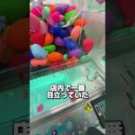 店員さんのセンスが光る特殊な景品3選 #クレーンゲーム #ゲームセンター #ゲーセン #ゲーム #夾娃娃機 #clawmachine #clawmachine #arcade