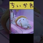 【ミニ3本爪攻略法】ちいかわ 秋だもんマスコット(ちいかわ)　#ちいかわ #クレーンゲーム #u foキャッチャー #ufoキャッチャー攻略法 #3本爪