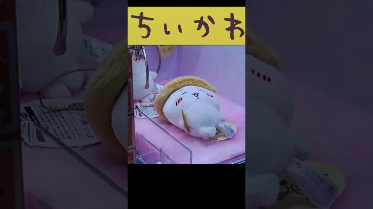 【ミニ3本爪攻略法】ちいかわ 秋だもんマスコット(ちいかわ) #ちいかわ #クレーンゲーム #u foキャッチャー #ufoキャッチャー攻略法 #3本爪